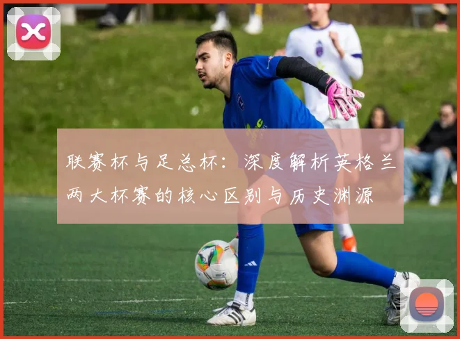 联赛杯与足总杯：深度解析英格兰两大杯赛的核心区别与历史渊源